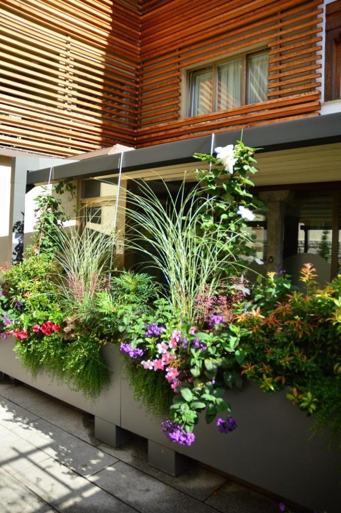 Bed and Breakfast Blum In Rovetta Exterior foto