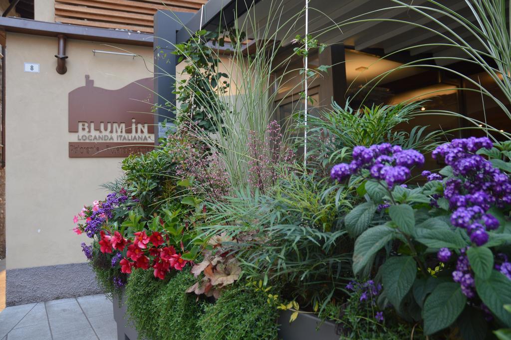 Bed and Breakfast Blum In Rovetta Exterior foto